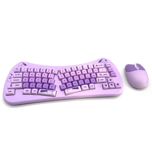 Wireless keyboard and mouse combo RDW66